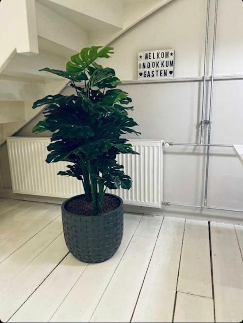 Appartement Dokkum